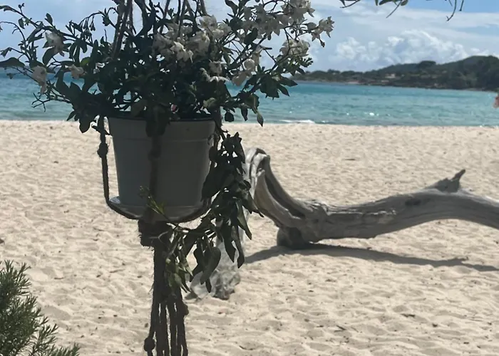 Mini Playa Del Oro * פאבונה