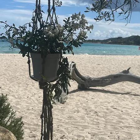 Mini Playa Del Oro * Favone