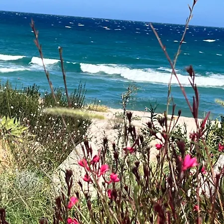 Mini Playa Del Oro