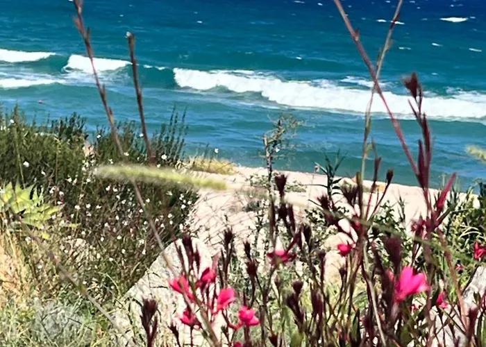 Mini Playa Del Oro